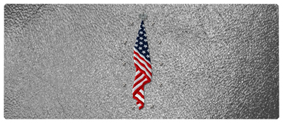 DNSEMP-L-421-SH-SL Flag at Rest Shimmer Silver